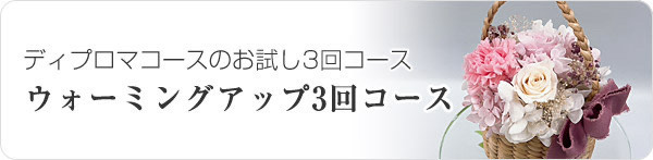 ディプロマコースのお試し3回コース ウォーミングアップ3回コース